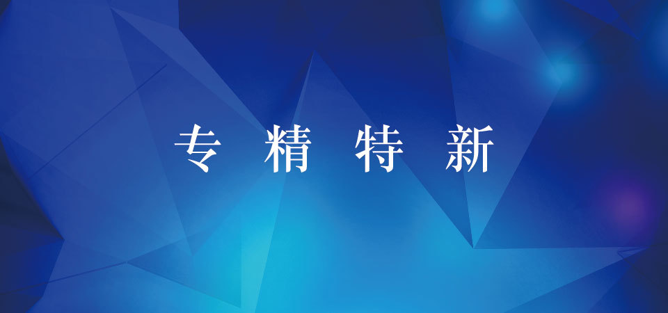 山东省2023年专精特新中小企业